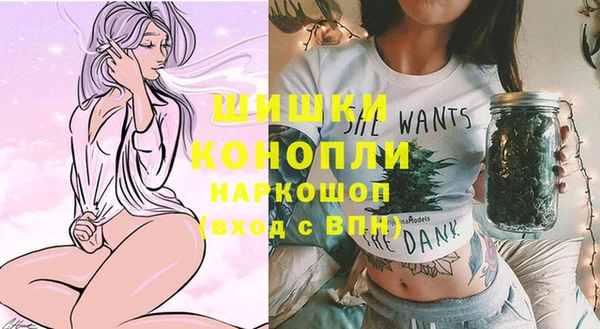 spice Арсеньев