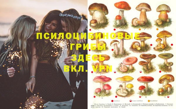 spice Арсеньев