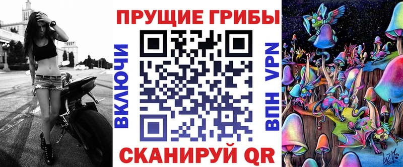 Галлюциногенные грибы Cubensis  даркнет Telegram  Ужур 